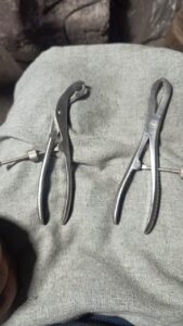 Bone Holding Forceps