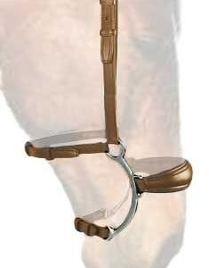 Leather Kinetic Noseband Hackamore
