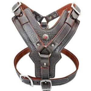 Leather Dog Tracking Harness