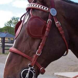 Leather Driving Bridle Blinders