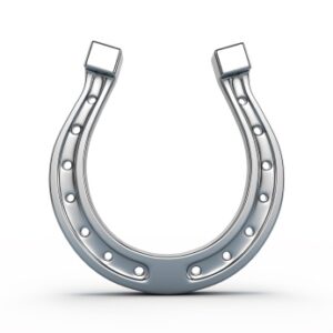 Polished Steel Horse Shoe