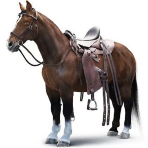 1/6 Scale Horse Accessory